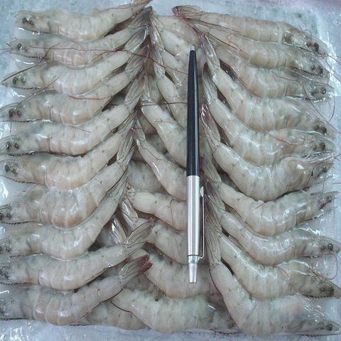 frozen vannamei prawns 26 30 1kg frozen vannamei prawns 26 30 1kg