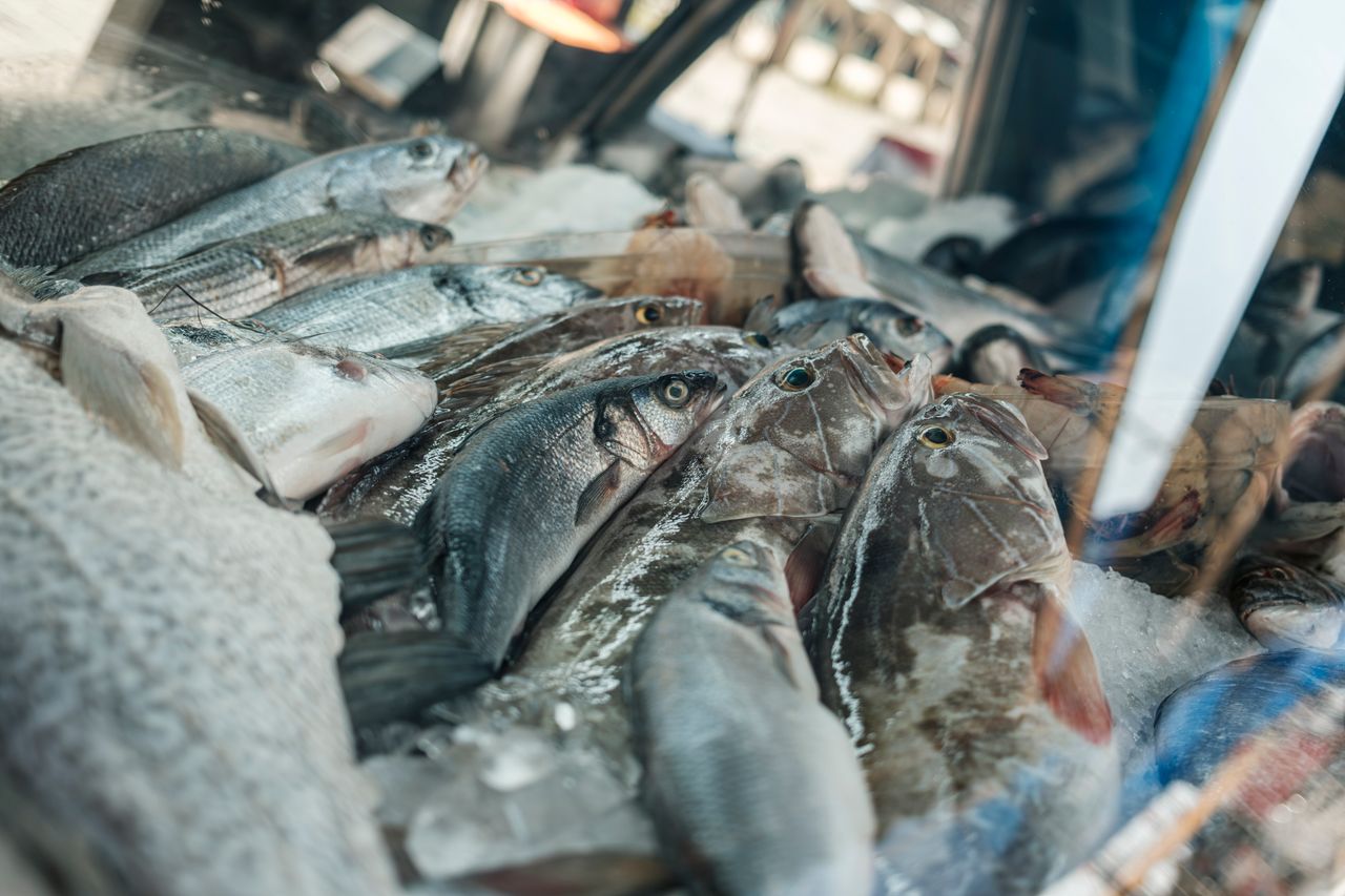 A variety of fresh fish displayed on ice at an outdoor seafood market stall.